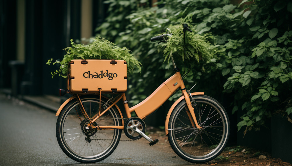 Les vélos cargo, une alternative écologique aux voitures